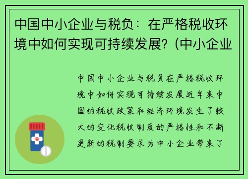 中国中小企业与税负：在严格税收环境中如何实现可持续发展？(中小企业税负情况分析)